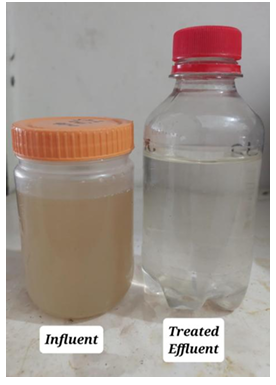 Successfully Developed Phosphorus removal technology in wastewater
